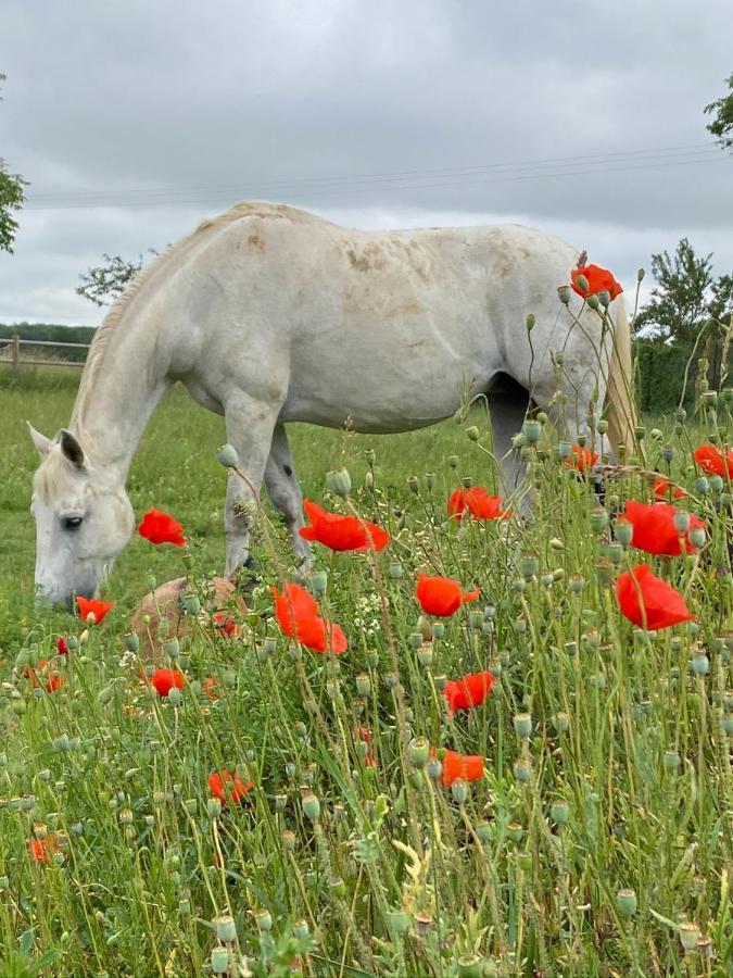 Domaine Nature Vacances Bernecourt ภายนอก รูปภาพ