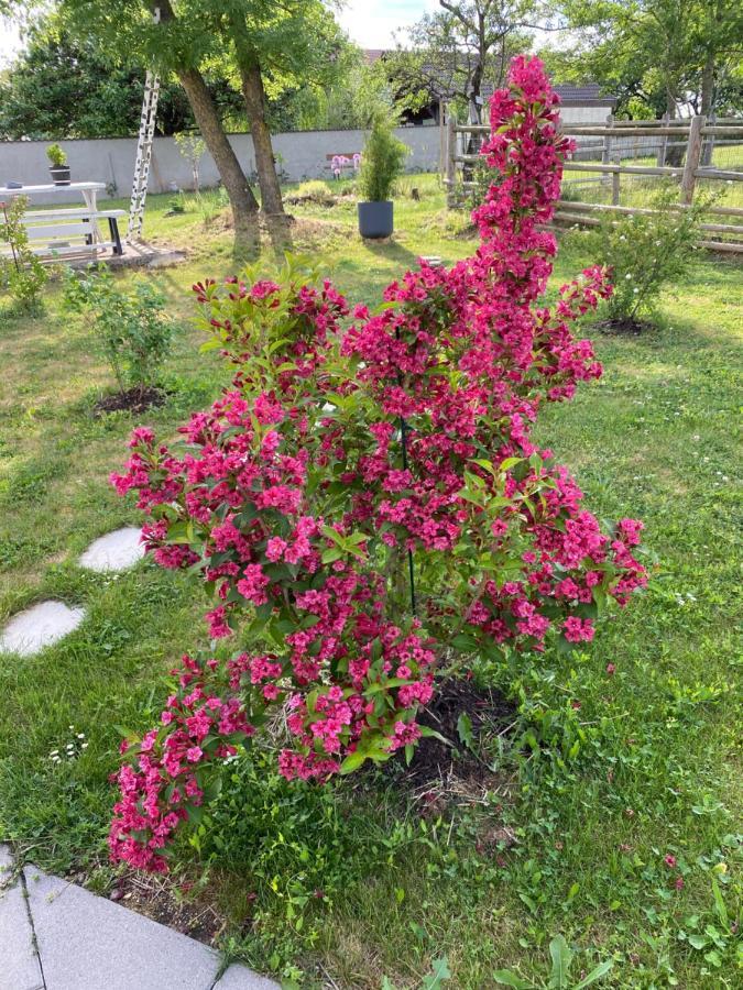 Domaine Nature Vacances Bernecourt ภายนอก รูปภาพ